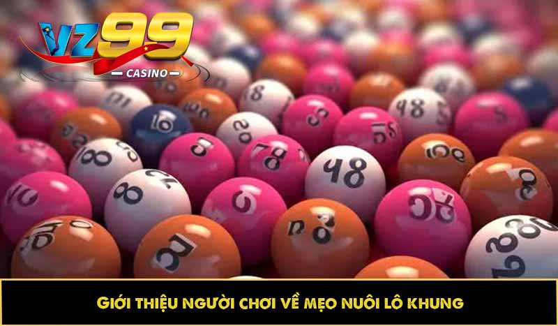 Mẹo nuôi lô khung: Kinh nghiệm bắt kèo, soi đâu trúng đó 6 Giới thiệu người chơi về mẹo nuôi lô khung