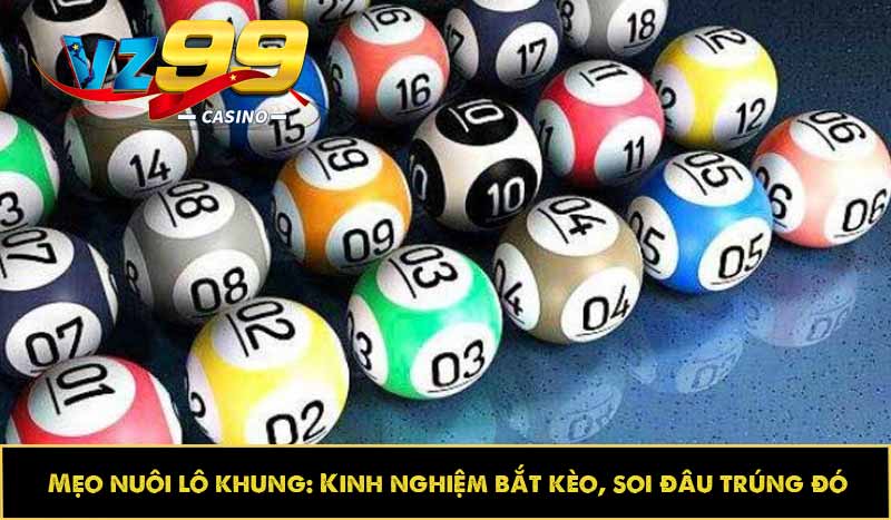 Mẹo nuôi lô khung: Kinh nghiệm bắt kèo, soi đâu trúng đó 8 Mẹo nuôi lô khung: Kinh nghiệm bắt kèo, soi đâu trúng đó